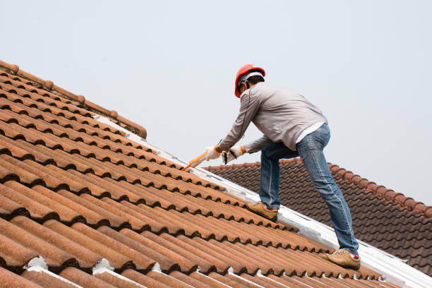 Best Gutter Replacement  in Arta, CA